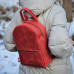 Рюкзак bp_10_red