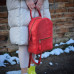Рюкзак bp_10_red