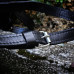 Рюкзак bp_5_2_black_sorrento