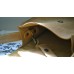 Сумка сідло з монетницею wb_011_camel